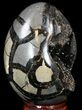 Septarian Dragon Egg Geode - Black Calcite Crystals #33993-1